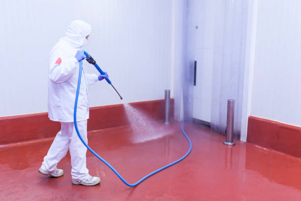 Best Building Exterior Washing  in Albany, MO
