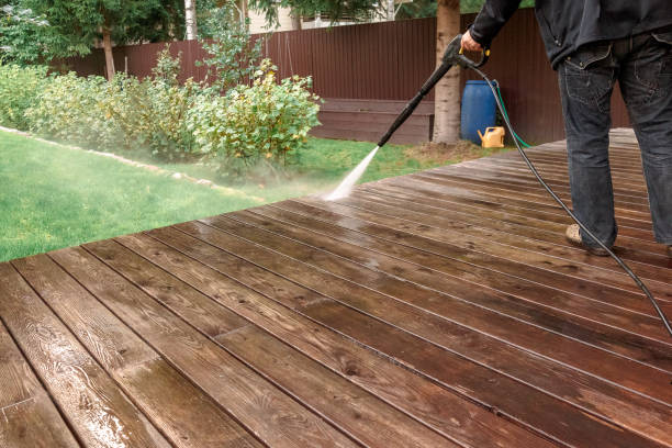 Best Residential House Exterior Washing  in Albany, MO