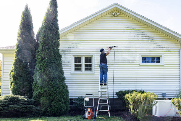 Best Solar Panel Cleaning  in Albany, MO