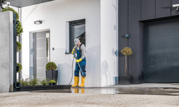 Best Driveway Pressure Washing  in Albany, MO